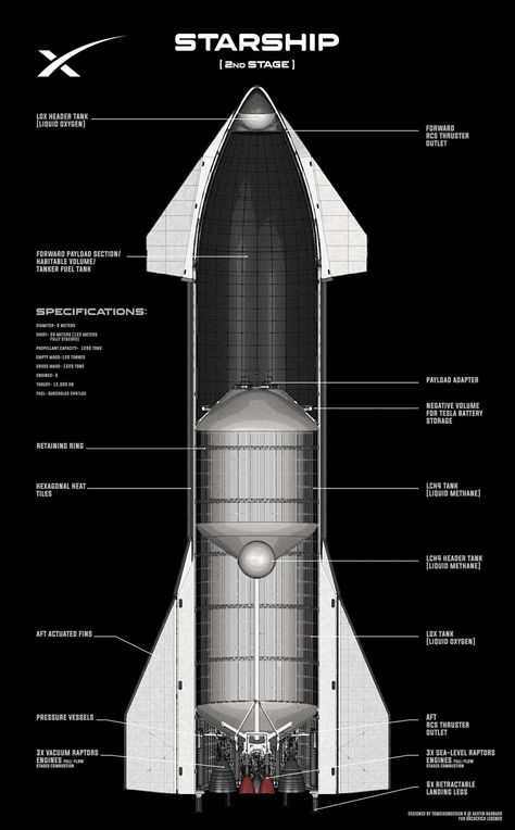 Cutaway schematic of SpaceX's Starship interior by Tom Dixon Space X Starship, Starship Interior, Space Exploration Technologies, Nasa Spacex, Aerospace Design, Spacex Starship, Starship Concept, Starship Design, Aerospace Engineering