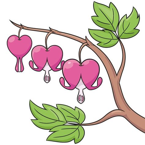 Learn to draw a bleeding heart flower. This step-by-step tutorial makes it easy. Kids and beginners alike can now draw a great bleeding heart flower. Heart Flower Drawing, Pottery Motifs, Embroidery Journaling, Draw Nature, Batik Diy, Simple Flower Drawing, Beginner Sketches, Easy Flower Drawings, Flower Pedals