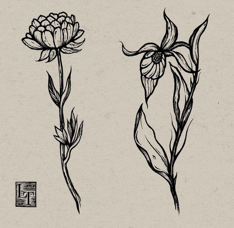 Etched Flower Tattoo, Etching Flower Tattoo, Woodcut Flower Tattoo, Vintage Botanical Tattoo, Botany Tattoo, Etching Tattoo, Woodcut Tattoo, Woodcut Illustration, P Tattoo