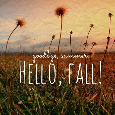 Hello Fall Quotes, Halloween Cover Photos, October Country, Goodbye Summer, Autumn Scenes, Autumn Quotes, Welcome Fall, Autumn Scenery, Happy Fall Y'all