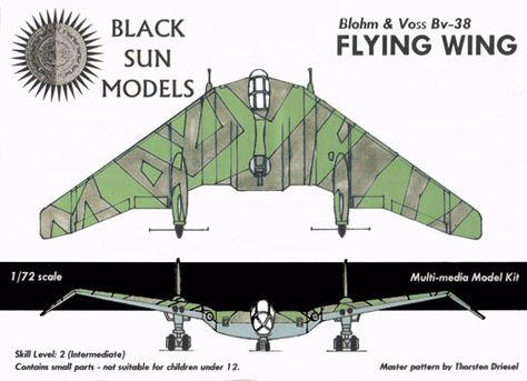 Raider of the Lost Ark - Flying Wing. Courtesy of Air and Space Photos from Alternate Worlds. - Page 39 - Alternate History Discussion Board Luftwaffe Planes, Aviation Image, Flying Wing, Star Wars Spaceships, Flying Vehicles, Lost Ark, Old Planes, Alternate Worlds, Diesel Punk