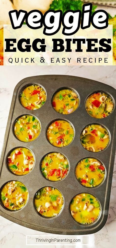 Looking for an easy and healthy breakfast recipe? Try these baked veggie egg bites made in mini muffin tins packed with nutrients that fit your diet! This veggie egg bites muffin tins recipe is perfect for those looking for quick and easy breakfast or even low carb snacks. The best part? You can make a big batch of this homemade veggie egg bites recipe and store in the freezer for later, making it a convenient option for those busy mornings, perfect for busy moms. Easy recipes for busy moms. Healthy Eggs Bites, Egg Bites With Veggies, Egg Bites Muffin Tins Recipe, Veggie Egg Bites Muffin Tins, Egg Bites Veggie, Egg Muffin Bites, Easy Big Batch Meals, Freezer Egg Bites, Easy Egg Bites Muffin Tins