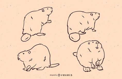 Beaver line illustration set #AD , #Sponsored, #Aff, #line, #illustration, #set, #Beaver Beaver Line Drawing, Beaver Art Illustration, Beaver Drawing Cute, Beaver Tattoo, Beaver Illustration, Beaver Clipart, Beaver Drawing, Baby Beaver, Scientific Drawing