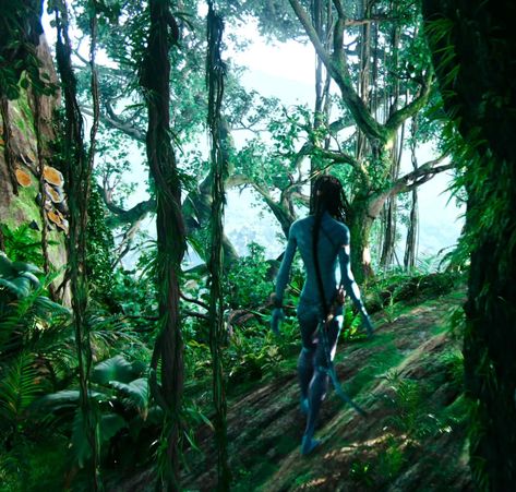 Forest Navi Avatar, Avatar Plants, Avatar Environment, Pandora Forest, Spider Socorro, Aesthetics Icon, Avatar Pics, Jake English, Environment References