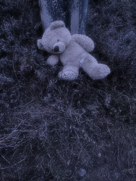 Bear toy Bear Core Aesthetic, Teddy Aesthetic Bear, Bear Trap Aesthetic, Creepy Toys Aesthetic, Lost Child Aesthetic, Bear Doll Aesthetic, Annihilation Bear, Ripped Teddy Bear, Leaf Coneybear