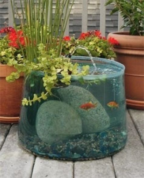 Outdoor Fish Ponds, Small Backyard Ponds, Indoor Pond, Container Water Gardens, Patio Pond, Indoor Water Garden, Diy Water Fountain, Backyard Garden Layout, Diy Pond