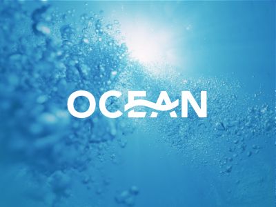 Vivian Quinones  It strikes me how the words look like they are under water.  I want to borrow how the E and the A are connected. Diving Logo, Ocean Logo, Sea Logo, Water Branding, Water Logo, Ocean Design, Photography Logo Design, Logotype Design, Grafic Design