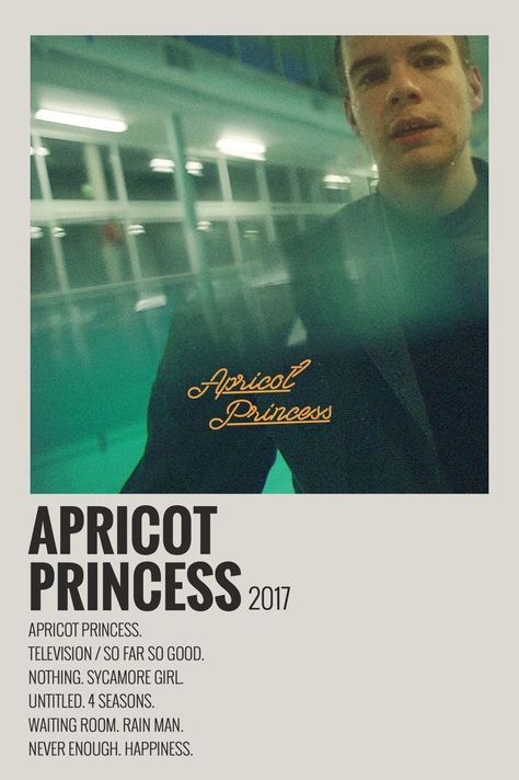 Apricot Princess, Alt Posters, Rex Orange County, Rex Orange, Minimalist Music, Music Poster Ideas, Vintage Music Posters, Film Posters Minimalist, Album Cover Poster