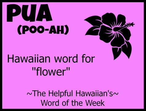 Aloha Quotes, Pua Flower, Hawaii Language, Hawaiian Words And Meanings, Hawaiian Phrases, Hawaiian Quotes, Hawaiian Language, Word Of The Week, Hawaii Hula