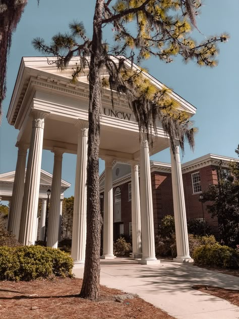 Uncw Seahawks Aesthetic, University North Carolina, North Carolina College Aesthetic, North Carolina University Aesthetic, Wilmington Nc Aesthetic, Kaleigh Aesthetic, University Of North Carolina Wilmington, Unc Wilmington Aesthetic, Uncw Aesthetic