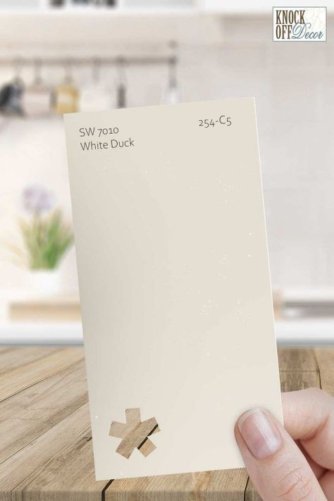 Sherwin Williams White Duck is a neutral and pastel paint color that is extremely warm and creamy. Follow along as I look at this choice from SW. You'll learn how you can decorate your home inside and out with this color. Sw Duck White, Sw Aged White Walls, White Duck Interior Walls, Sw White Duck Kitchen Cabinets, White Duck Sherwin Williams Wall Colors, White Duck Vs Shoji White, Off White Kitchen Walls, Sherwin Williams White Duck Cabinets, Sw White Duck Cabinets