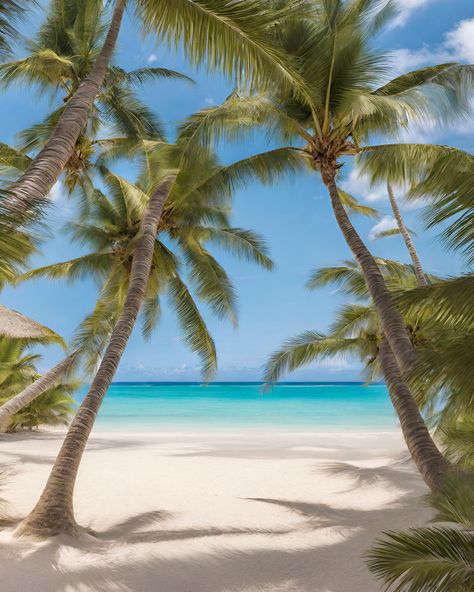 A secluded beach with soft, powdery sand, kissed by the gentle waves of the turquoise ocean, while palm trees swayed in the tropical breeze. Beach And Palm Trees, Palm Tree Pictures, Tropical Island Photography, Sand Island, Island Photography, Tropical Palm Trees, Beautiful Ocean Pictures, Pretty Nature, Turquoise Ocean