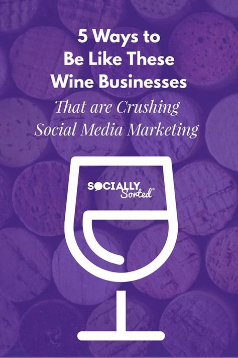 5 Ways to Be Like These Wine Businesses Crushing Social Media Marketing - Socially Sorted Wine Business, Social Media Measurement, Google Plus, Social Media Marketing Business, Pinterest Marketing Strategy, Marketing Strategy Social Media, Social Media Influencer, Social Media Strategies, Pinterest Marketing