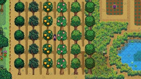 Fruit Trees Stardew Valley, Stardew Tree Layout, Stardew Fruit Trees, Stardew Valley Tree Farm Layout, Stardew Valley Fruit Trees Layout, Stardew Tree Farm, Stardew Valley Fruit Trees, Stardew Animals, Stardew Farm Layout