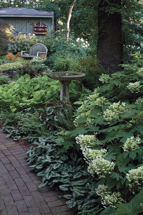 Dealing With Dry Shade - FineGardening Side House Garden, Shade Garden Design, Japanese Garden Landscape, Pathway Landscaping, Shade Garden Plants, Backyard Vegetable Gardens, Vegetable Garden Design, Woodland Garden, Garden Pathway