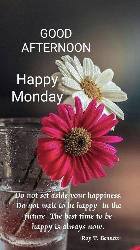 Monday Afternoon Quotes, Facebook Party Graphics, Monday Morning Greetings, Afternoon Greetings, Afternoon Messages, Afternoon Wishes, Good Evening Love, Happy Monday Quotes, Good Afternoon Quotes