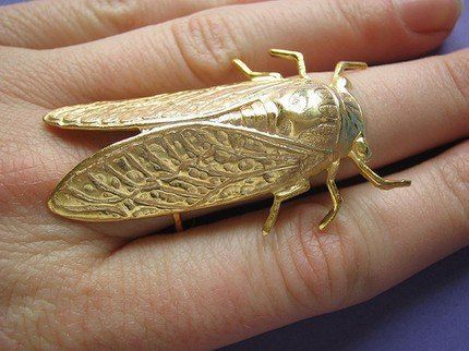 Cicada Ring, Solarpunk Fashion, Bug Ring, Insect Ring, Pandora's Box, Fish Jewelry, Bohemian Bridal, Start A Fire, Insect Jewelry