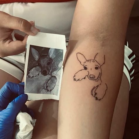 Dog Aesthetic Tattoo, Dog Butterfly Tattoo, Line Pet Tattoo, Dog Love Tattoo, Zoey Tattoo, Small Pet Tattoos, Nala Tattoo, Pet Tattoos Dog, Pet Line Art