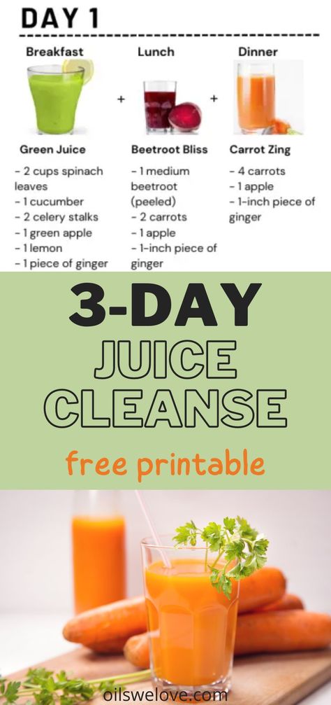 Juice Cleanse Plan, 3 Day Juice Cleanse, Healthy Juice Drinks, Detox Juice Cleanse, Juice Cleanse Recipes, Homemade Juice, Detox Juice Recipes, Juicer Recipes, Juice Diet