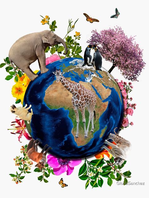 Biodiversity Project Ideas, Biology Images, Sublimation Art, Earth Drawings, Save Mother Earth, Nature Collage, Beautiful Profile Pictures, Nature Stickers, Animal Crafts For Kids