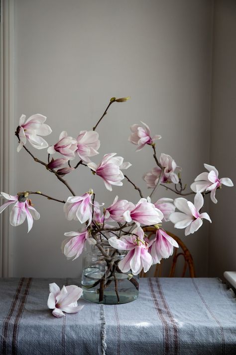 Vase With Branches, Magnolia Branch, Ikebana Arrangements, Magnolia Blossom, Floral Photography, Beautiful Flower Arrangements, Flower Arranging, Magnolia Flower, Flower Branch