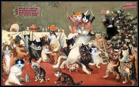 Embedded image permalink Crazy Party Aesthetic, Cat Celebrating, Crazy Party, Louis Wain Cats, Merry Christmas Cat, Louis Wain, Party Aesthetic, Curious Cat, Cat Party