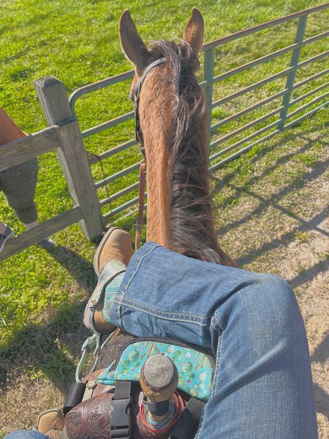 Tree Metaphor, Barrel Racing Photos, Horse Barrel Racing, High School Rodeo, Western Barrel Racing, Cowboy Romance Books, Chestnut Springs Series, Country Horses, Nerd Girl Problems