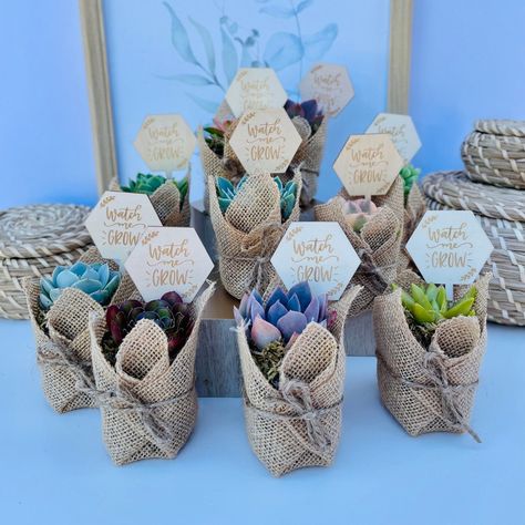 Watch Me Grow Baby Shower Favors - Live Succulent Favors for Baby Showers | MakerPlace by Michaels Watch Me Grow Baby Shower, Succulent Party Favors, Burlap Baby Showers, Mexican Baby Shower, Baby Shower Boho, Succulent Favors, Watch Me Grow, Bloom Baby, Succulent Gifts