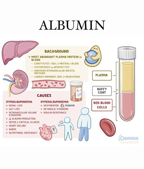 Nursing School Essential, Medical School Life, Nursing School Motivation, Basic Anatomy And Physiology, Nurse Study Notes, Nursing Student Tips, Medical Student Study, Pharmacology Nursing, Nursing School Survival