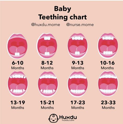 Baby Teeth Chart, Baby Teething Chart, Teeth Chart, Teething Chart, Note Tips, Baby Chart, Baby Guide, Baby Information, Baby Help