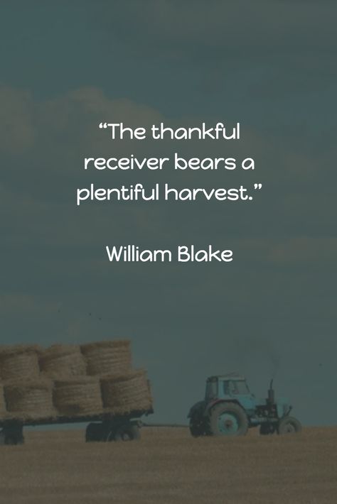 “The thankful receiver bears a plentiful harvest.” - William Blake Harvesting Quotes, Harvest Quotes Inspiration, Quotes About Being Thankful, Harvest Quotes, Seasonal Quotes, Most Powerful Quotes, An Attitude Of Gratitude, Being Thankful, Season Quotes