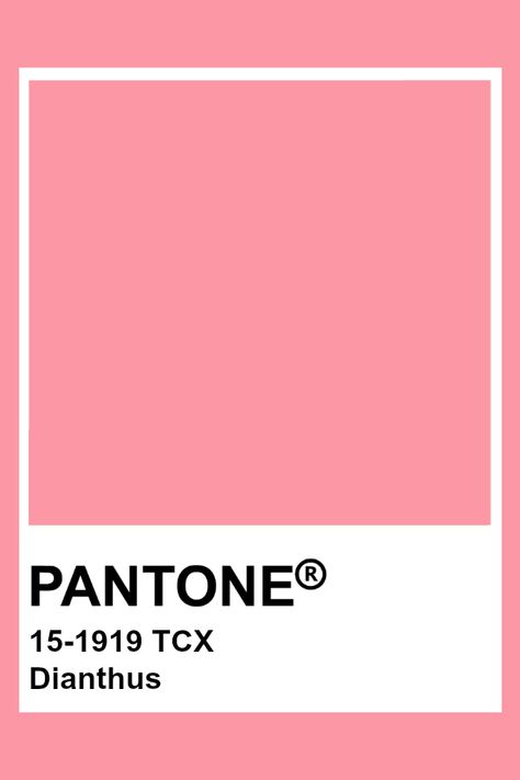 Pantone Colors Pink Shades, Pink Pantone Colors, Pink Colour Swatch, Pink Pantone Palette, Hot Pink Pantone, Pantone Pink Shades, Light Pink Pantone, Pantone Rosa, Pantone Color Palette