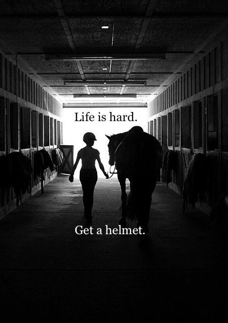 Yes please! Equine Quotes, Inspirational Horse Quotes, Horse Riding Quotes, Equestrian Quotes, Riding Quotes, Equestrian Problems, Funny Horses, Hunter Jumper, Horse Quotes