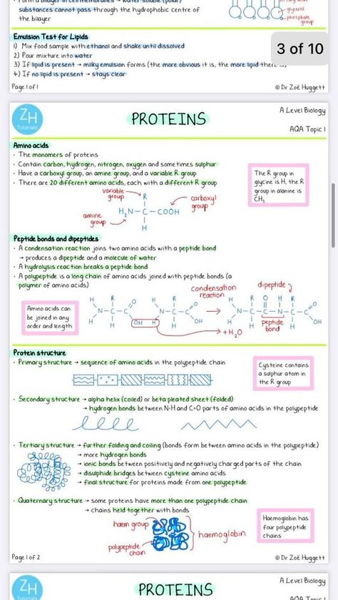 Biomedical Science Notes Aesthetic, Ap Biology Notes Chemistry Of Life, Biology Notes For Neet, Protein Notes Biology, Chemistry Of Life Biology, Organic Molecules Biology, Bio Molecules Notes, As Biology Notes, Website For Biology Notes