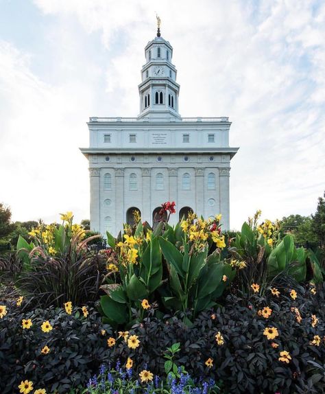 Daily Gospel Thought on Instagram: “"You are never lost when you can see the temple. The temple will provide direction for you and your family in a world filled with chaos. It…” Star Valley Temple, Rexburg Temple, Ogden Temple, Hawaii Temple, Bountiful Temple, Logan Temple, Nauvoo Temple, Lds Temple Art, Idaho Falls Temple