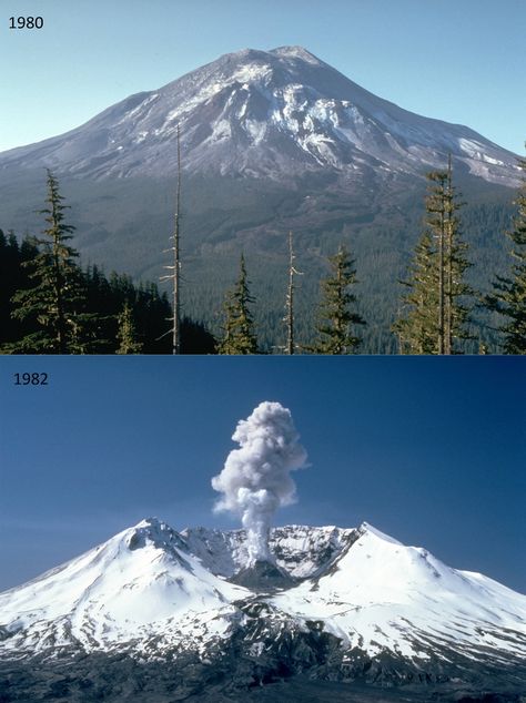 Mount St. Helens volcano before and after eruption. - Imgur Mt St Helens, Mount St Helens, Saint Helens, Sopot, St Helens, Natural Phenomena, Science And Nature, Amazing Nature, Volcano