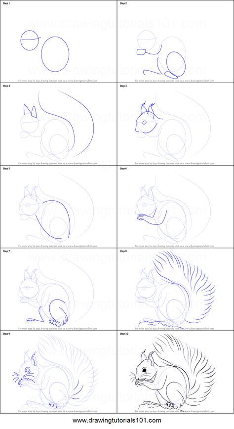 Flying Squirrel Drawing, Walrus Drawing, Easy Pokemon Drawings, Mushroom Drawings, Pokemon Step By Step, Pokemon Painting, Cartoon Art Drawing, Anime Lineart, Mushroom Drawing