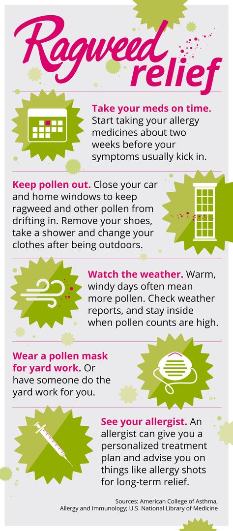 Most people think of spring as a time for seasonal allergies, but ragweed season begins in late summer! Pollen from ragweed typically peaks in mid-September and continues through the fall months. Check out the tips below for relief from ragweed allergies! Ragweed Allergy, Spring Allergies, Food Allergies Awareness, Natural Remedies For Allergies, Allergy Medicine, Allergy Awareness, Caring Meaning, Allergy Remedies, Fall Months