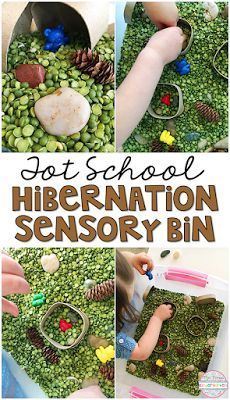 Hibernation Sensory Bin with split peas, rocks, small box caves, sticks pine cones, and bears.Perfect for tot school, preschool, and the kindergarten classroom. Split Pea Sensory Bin, Groundhog Sensory Bin, Diy Bear Cave Preschool, Hibernation Sensory, Bear Sensory Bin, Hibernation Preschool Theme, Preschool Hibernation, Hibernation Preschool Crafts, Bear Theme Preschool