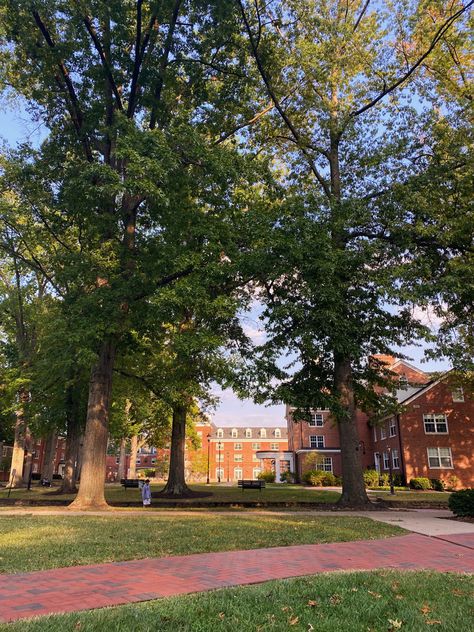 east green is so pretty at ohio university Miami Of Ohio Aesthetic, Miami University Ohio Aesthetic, Campus Drivers, Ohio State University Aesthetic, Ohio Aesthetic, Ohio University Aesthetic, Ohio University Dorm, Miami Ohio, Miami University Ohio