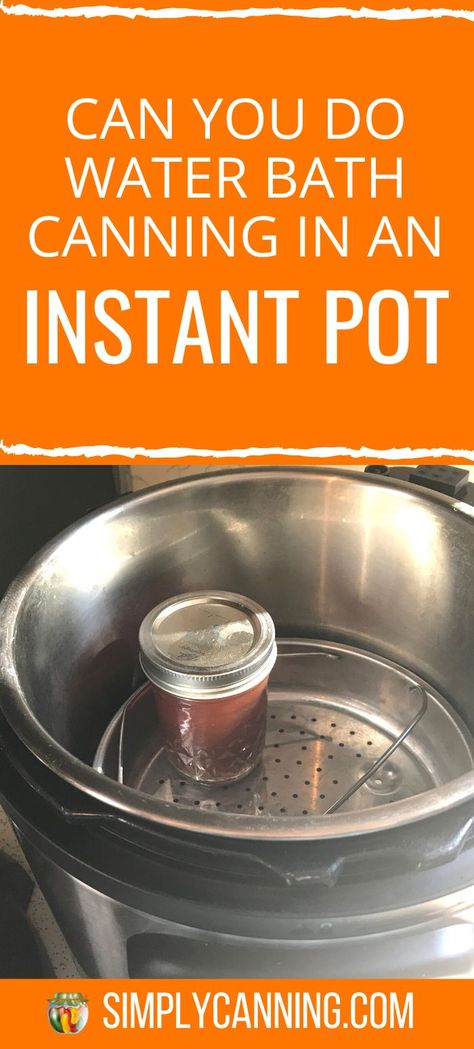 Canning Pears In Instant Pot, Instant Pot Water Bath Canning, Small Batch Water Bath Canning Recipes, Canning In Instant Pot, Electric Pressure Canner, Diy Condiments, Hot Water Bath Canning, Canning Pears, Water Bath Canning Recipes