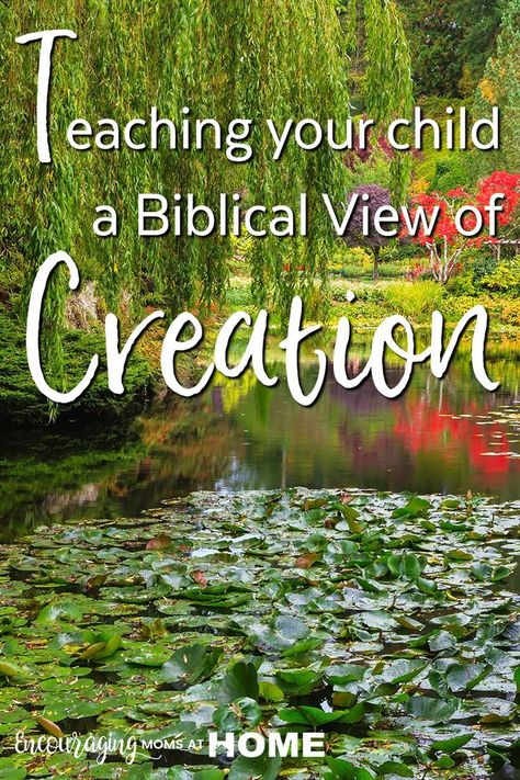 How to teach your child a biblical creation view Biblical Creation, Bible Study Materials, Teaching Resume, Unit Studies Homeschool, Creation Science, Science Reading, Biblical Worldview, Christian Motherhood, Intentional Parenting