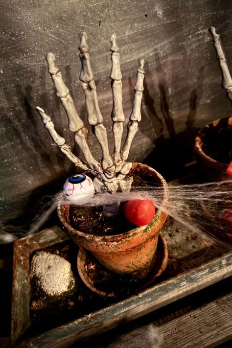 Dekorerer halloween opsat med de planter du allerede har. Sæt en skelet hånd eller fod i krukken, vedlæg uhyggelig ting såsom øjne. Spred til sidst spindelvæv over det hele 🕷️ Uhyggelig Halloween, Halloween Fest, Halloween