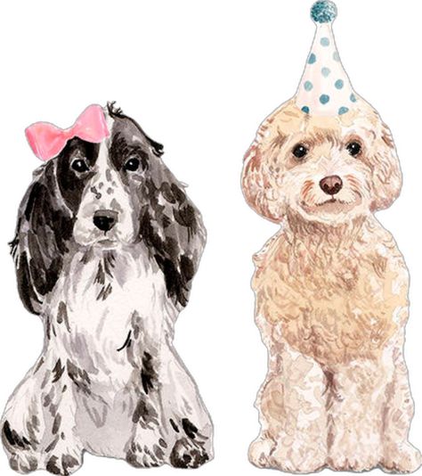 Dog With Birthday Hat, Birthday Hat Drawing, Hat Drawing, Christmas Doodle, Birthday Dogs, Pet Party, Illustration Dog, Doodle Puppy, Dog Groomer