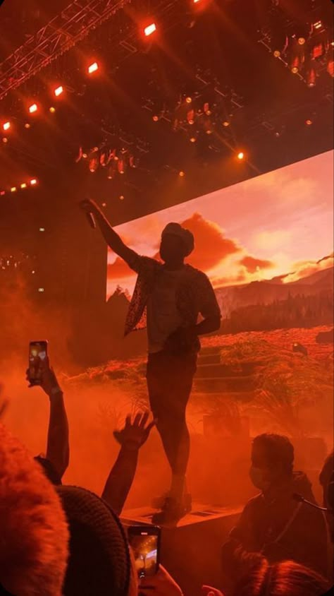 Tyler the creator concert (i wish i could be there) Tyler The Creator Orange Aesthetic, Aesthetic Tyler The Creator Wallpaper, Rap Concert Aesthetic, Tyler The Creator Aesthetic Wallpaper, Tyler The Creator Concert, Tyler Wallpaper, Tyler Concert, Tyler Core, Future Concert