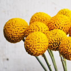 wedding flowers to add to table decorations Yellow Wedding Theme, Billy Balls, Billy Buttons, Wedding Table Flowers, Fall Wedding Flowers, Bride Flowers, Flower Bouquets, Gorgeous Gardens, Floral Headbands