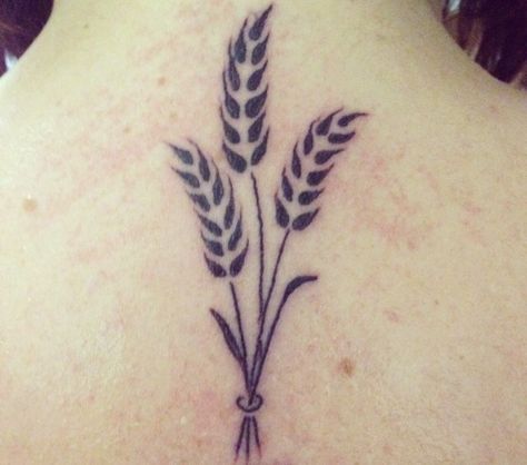 My wheat tattoo for my grandad, my family, my heritage <3 Wheat Images, Virgo Tattoo Ideas, Wheat Tattoo, Cherub Tattoo, Garden Tattoos, Virgo Tattoo, Aster Flower, Watercolor Feather, Tattoo Aftercare