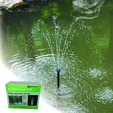 PondXpert SolarShower 200 Solar Pond Pump with Battery an... https://www.amazon.co.uk/dp/B00WMPQ4JW/ref=cm_sw_r_pi_dp_oQdFxbDXS55VY Pond Pumps And Filters, Solar Water Feature, Solar Pond, Farm Pond, Pond Maintenance, Outdoor Ponds, Small Water Features, Pond Filters, Pond Liner