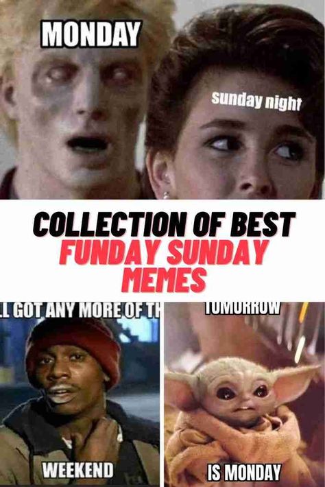 Funday Sunday Memes #Sunday #SundayFunday #memes #funny Sunday Meme Funny, Sunday Memes Hilarious, Funny Sunday Memes, Saturday Memes, Sunday Meme, Morning Jokes, Sunday Humor, Friday Meme, Monday Memes