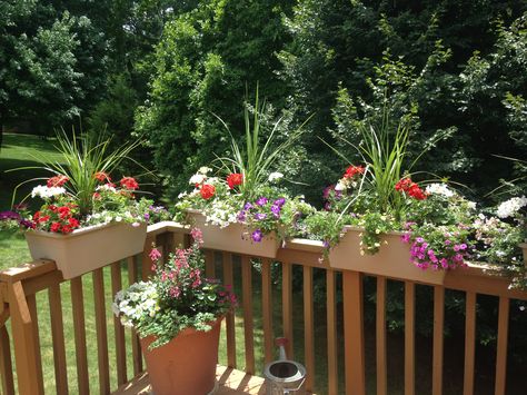 Deck Railing Planters Flowers, Deck Flower Boxes Porch Railings, Deck Flowers, Railing Flower Boxes, Balcony Planter Boxes, Railing Planter Boxes, Planter Box, Balcony Railing Planters, Deck Railing Planters